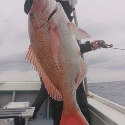 だて丸 釣果