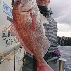 だて丸 釣果