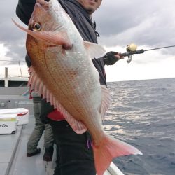 だて丸 釣果