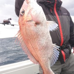 だて丸 釣果