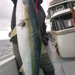 だて丸 釣果