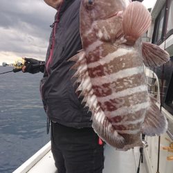 だて丸 釣果