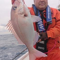 だて丸 釣果