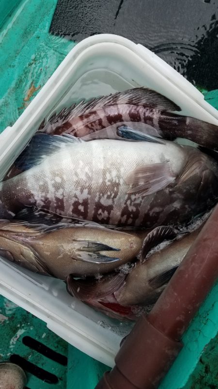 進誠丸 釣果