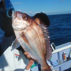 新幸丸 釣果