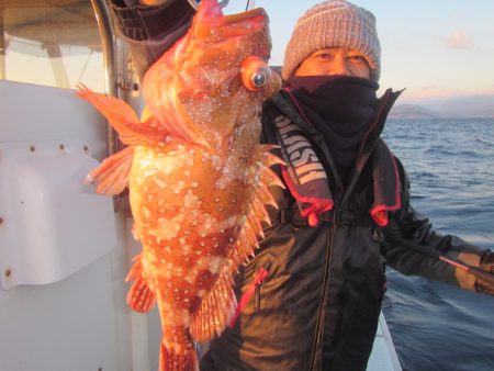 伸成丸 釣果