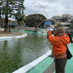 としまえんフィッシングエリア 釣果