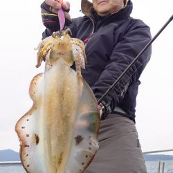 ブルースフィッシングサービス 釣果