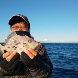 島きち丸 釣果