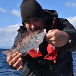 渡船屋たにぐち 釣果