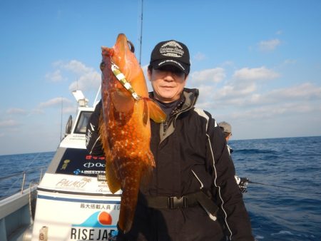 きずなまりん 釣果