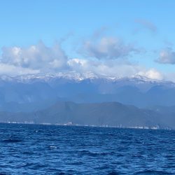 和栄丸 釣果