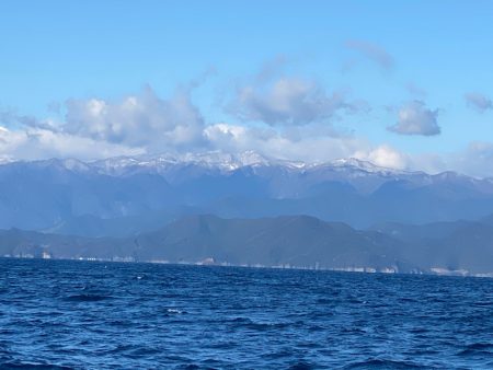 和栄丸 釣果