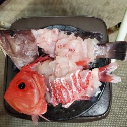 一華丸 釣果