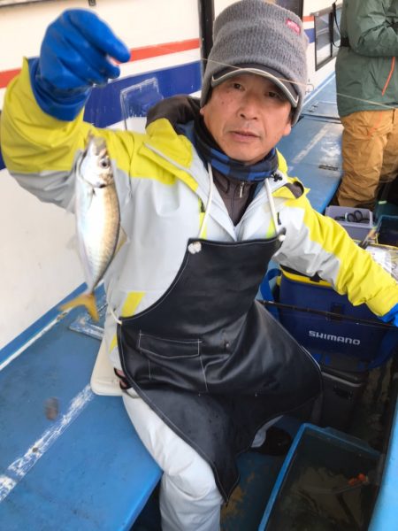 ヤザワ渡船 釣果