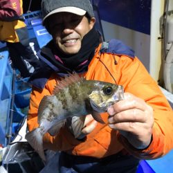 ヤザワ渡船 釣果