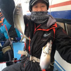 ヤザワ渡船 釣果