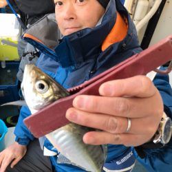 ヤザワ渡船 釣果