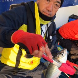 ヤザワ渡船 釣果