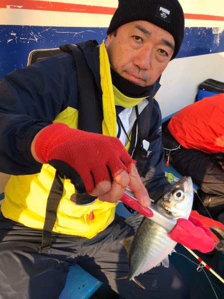 ヤザワ渡船 釣果