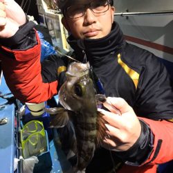 ヤザワ渡船 釣果