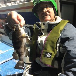 ヤザワ渡船 釣果