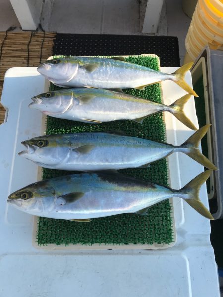 釣人家 釣果