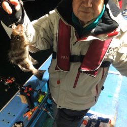 ヤザワ渡船 釣果