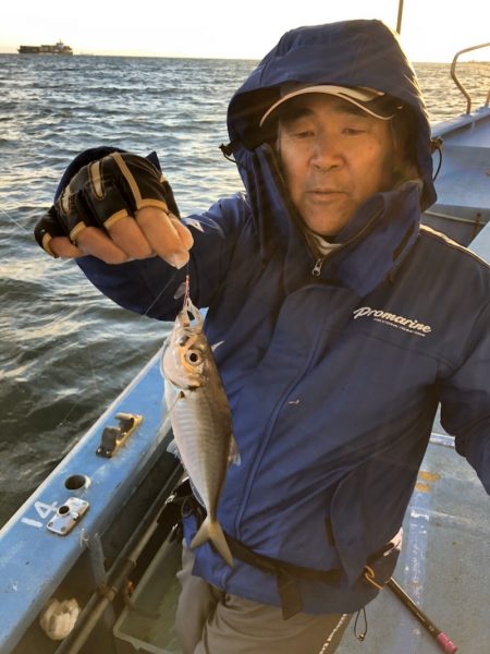 ヤザワ渡船 釣果