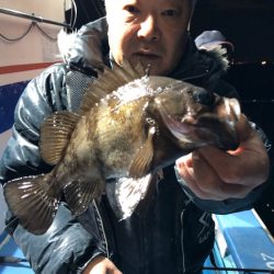 ヤザワ渡船 釣果