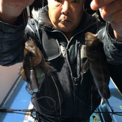 ヤザワ渡船 釣果