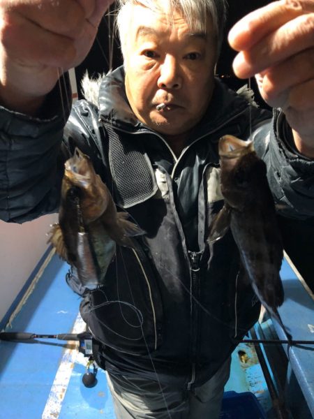 ヤザワ渡船 釣果