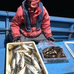 ヤザワ渡船 釣果