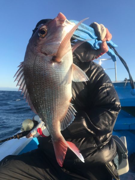 太平丸 釣果