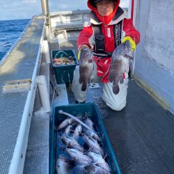 シーランチ 釣果