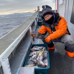 シーランチ 釣果