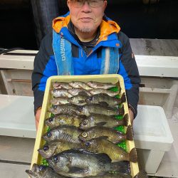 釣人家 釣果