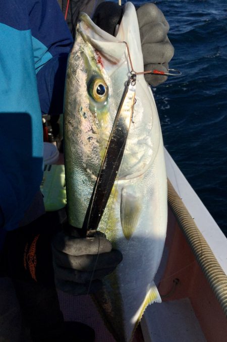 阿波哲 釣果