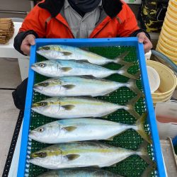 釣人家 釣果