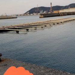 アジング　初島漁港