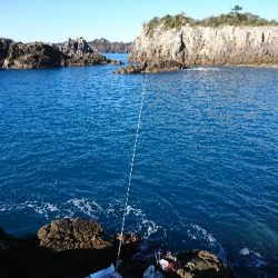 勝浦でグレ釣り