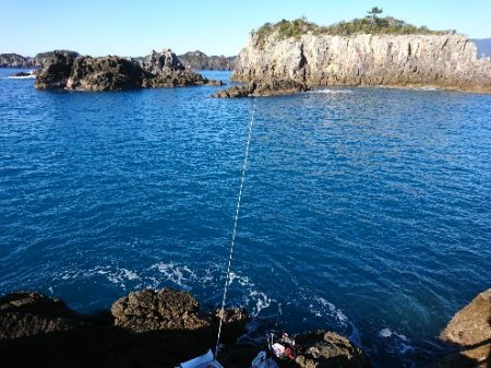 勝浦でグレ釣り