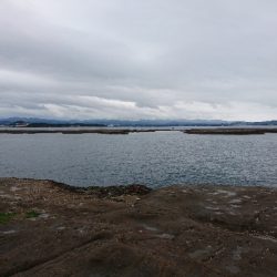 みなべ堺で磯釣り