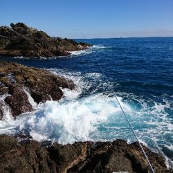 勝浦でグレ釣り