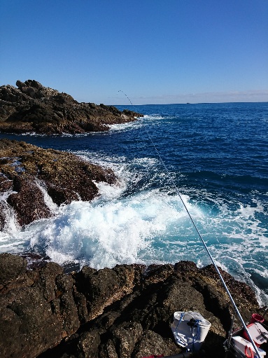 勝浦でグレ釣り