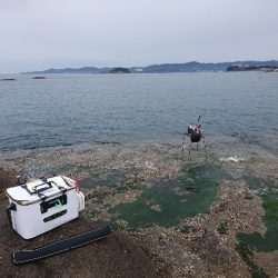 みなべ堺で磯釣り