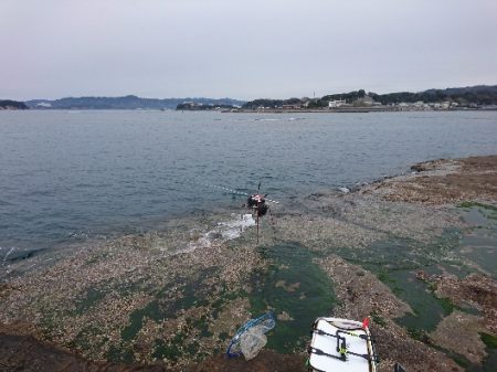 みなべ堺で磯釣り