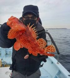 東京湾探釣隊ぼっち 釣果