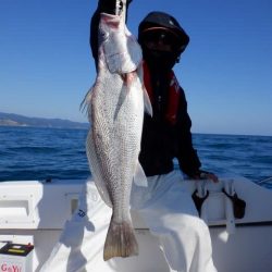 開進丸 釣果