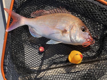 白墨丸 釣果